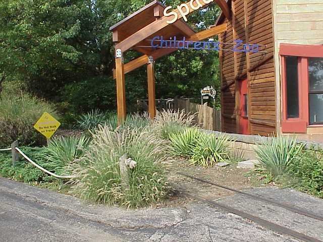 Picture of Pennisetum orientale  Oriental Fountain Grass