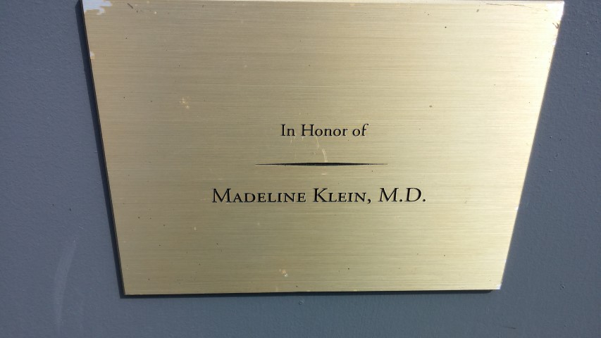 Prunus x yedoensis plantplacesimage20150501_154533.jpg