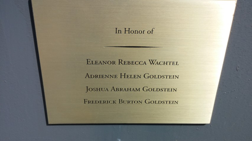 Prunus x yedoensis plantplacesimage20150501_154544.jpg