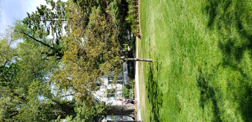 Malus profusion plantplacesimage20190821_134213.jpg