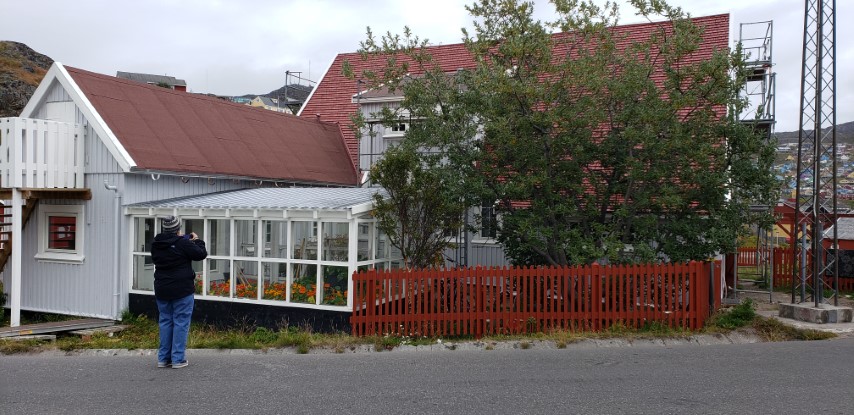 Tropaeolum spp plantplacesimage20190828_092135.jpg