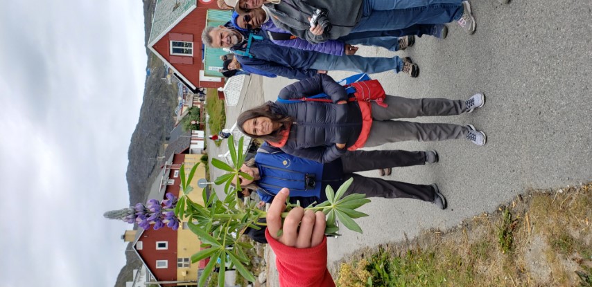 Lupinus nootkatensis plantplacesimage20190828_092613.jpg